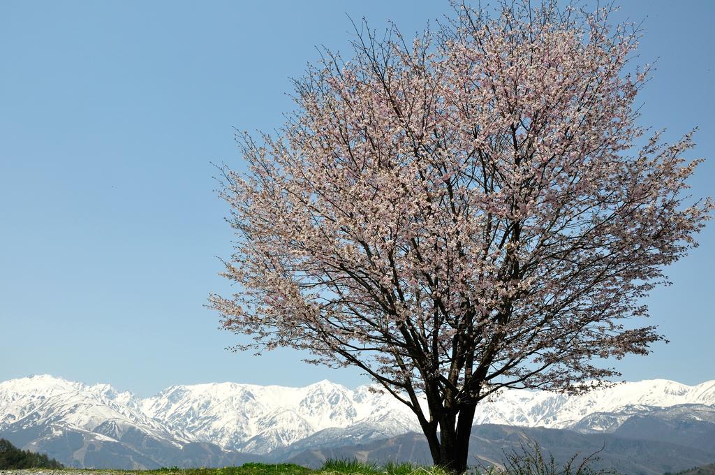 Lodge Nostalgia Hakuba Buitenkant foto